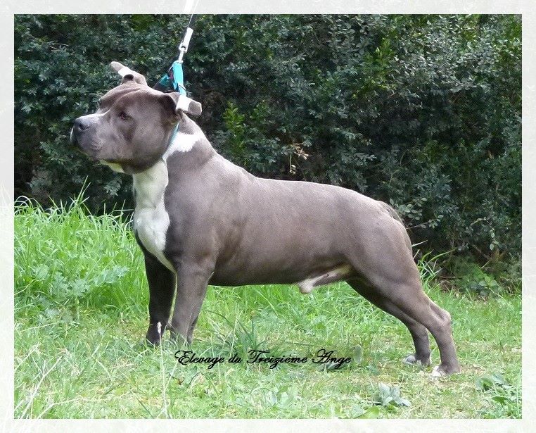 Jack snow od benga